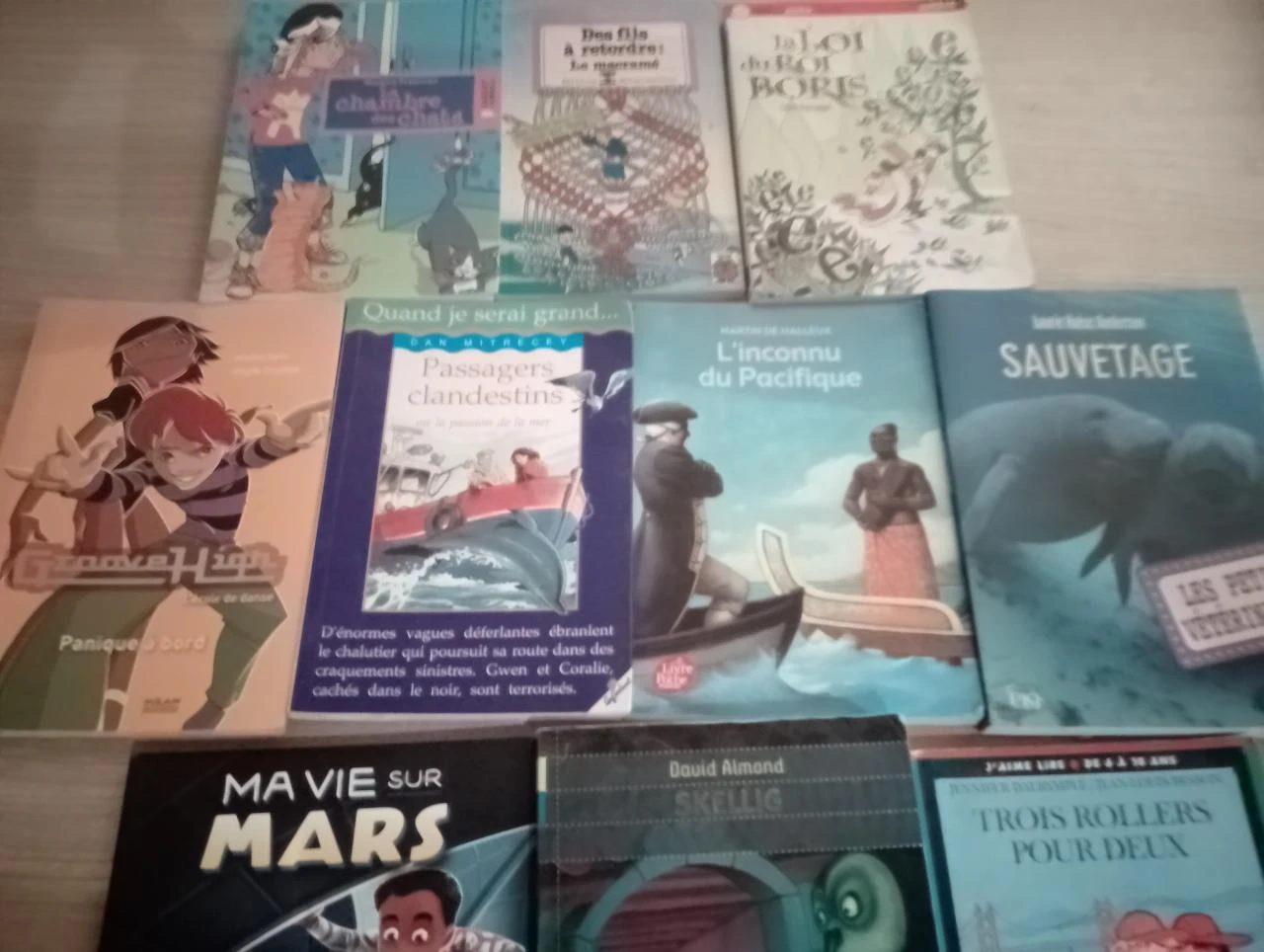 Lot de 10 livres de poches divers (2.99 les 10)(36) – photo 3